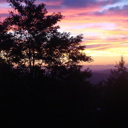Forest View B&B Gavi Bagian luar foto