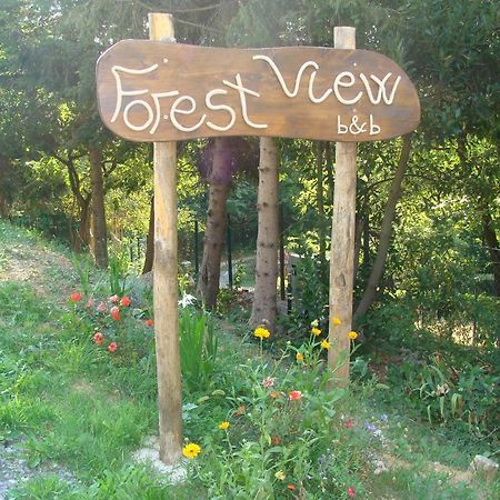 Forest View B&B Gavi Bagian luar foto