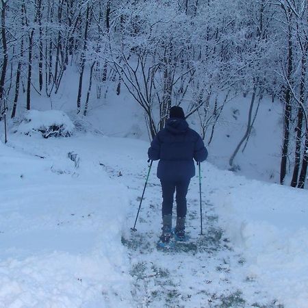 Forest View B&B Gavi Bagian luar foto