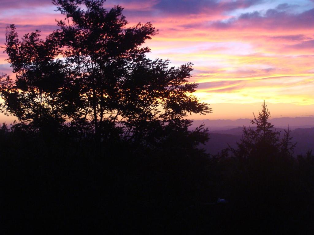 Forest View B&B Gavi Bagian luar foto