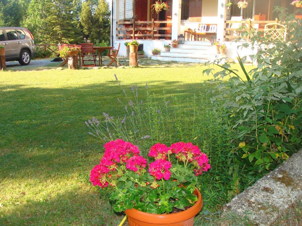Forest View B&B Gavi Bagian luar foto