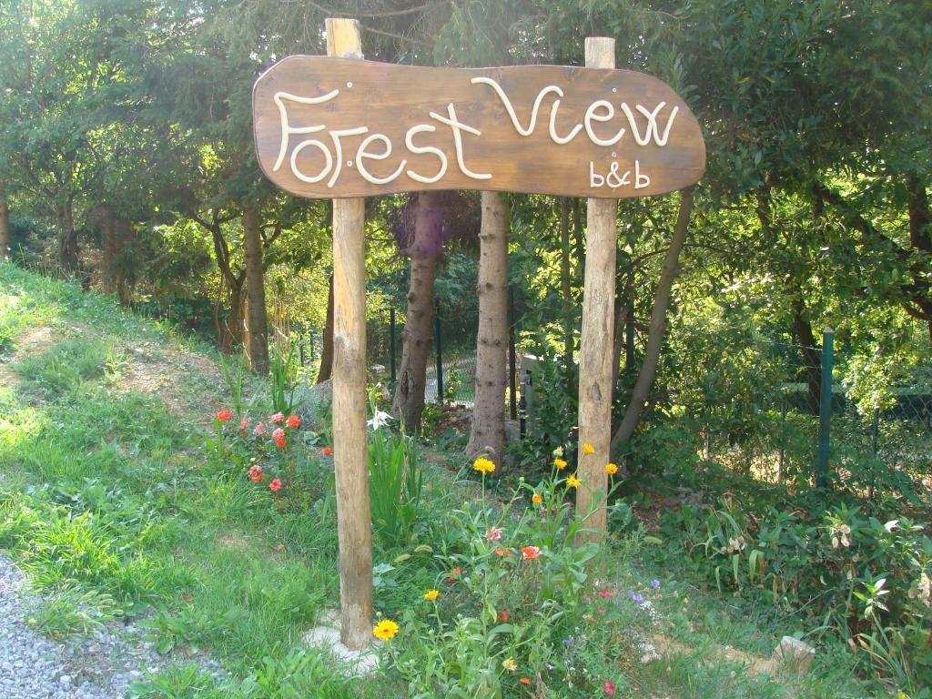Forest View B&B Gavi Bagian luar foto