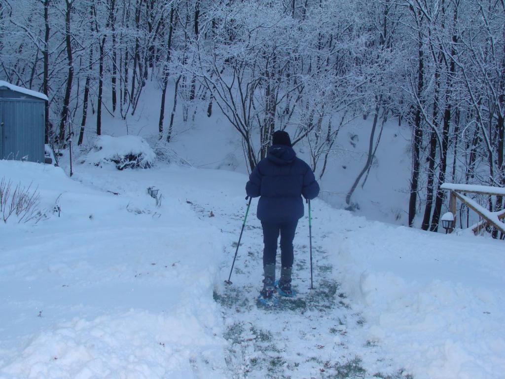 Forest View B&B Gavi Bagian luar foto
