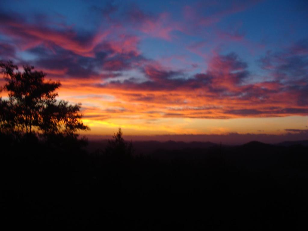 Forest View B&B Gavi Bagian luar foto